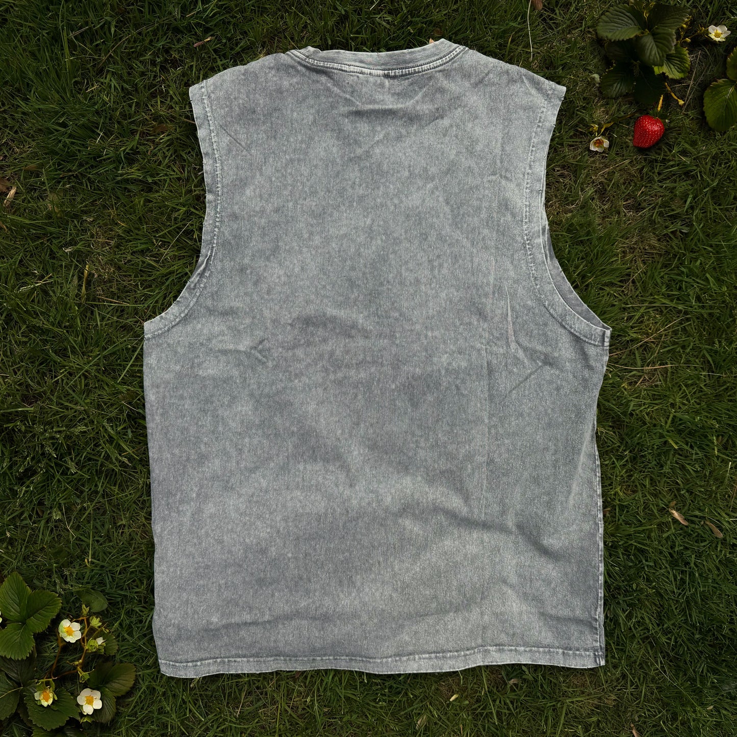 Fruit Folk Tank