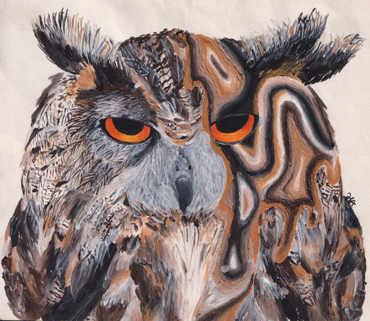 Owl - Original Painting